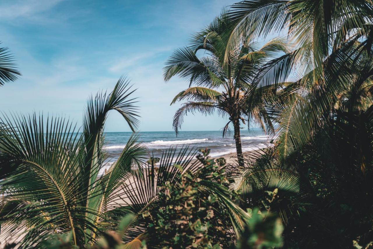 Los Hermanos Beach Hostal Guachaca Exterior photo