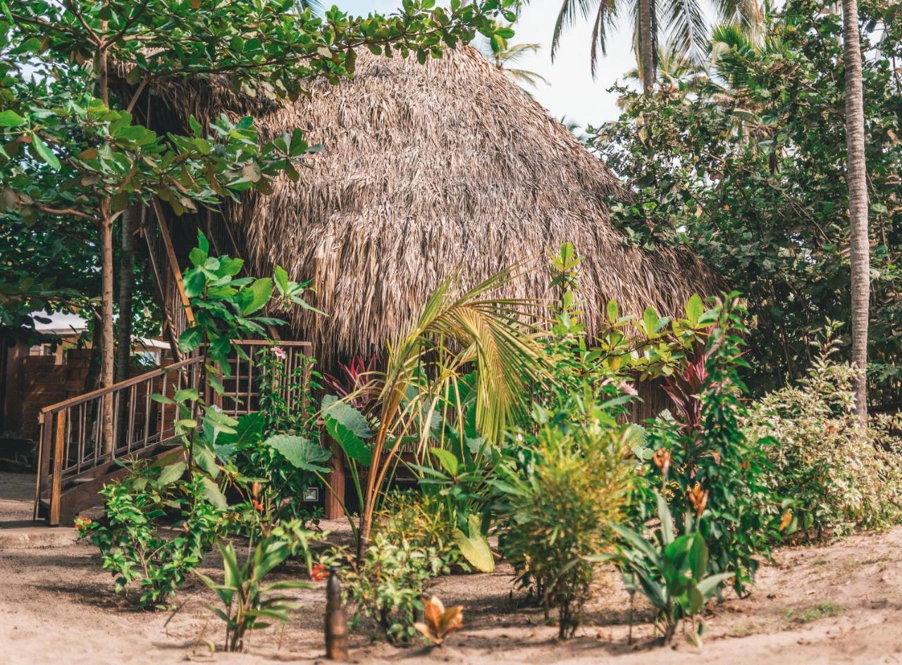 Los Hermanos Beach Hostal Guachaca Exterior photo